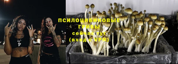 стафф Алексеевка