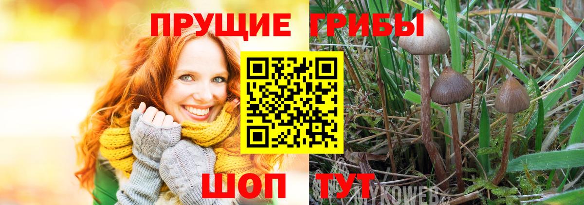 Гашиш Кимры