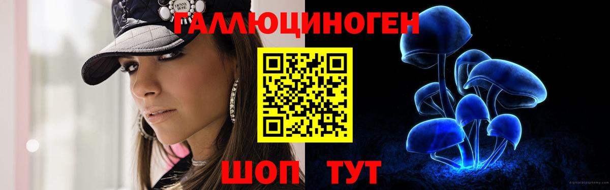 Псилоцибиновые грибы Psilocybe  даркнет сайт  Псилоцибиновые грибы ЛСД  Кимры  Вход с VPN 