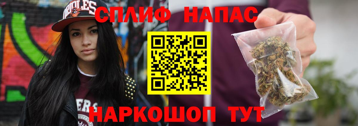 Кимры  Каннабис план  МАРИХУАНА MAZAR  Канабис сатива  Вход с VPN 